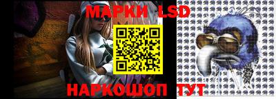стафф Новодвинск