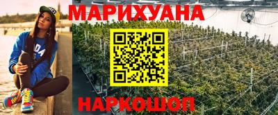 дмт Новозыбков