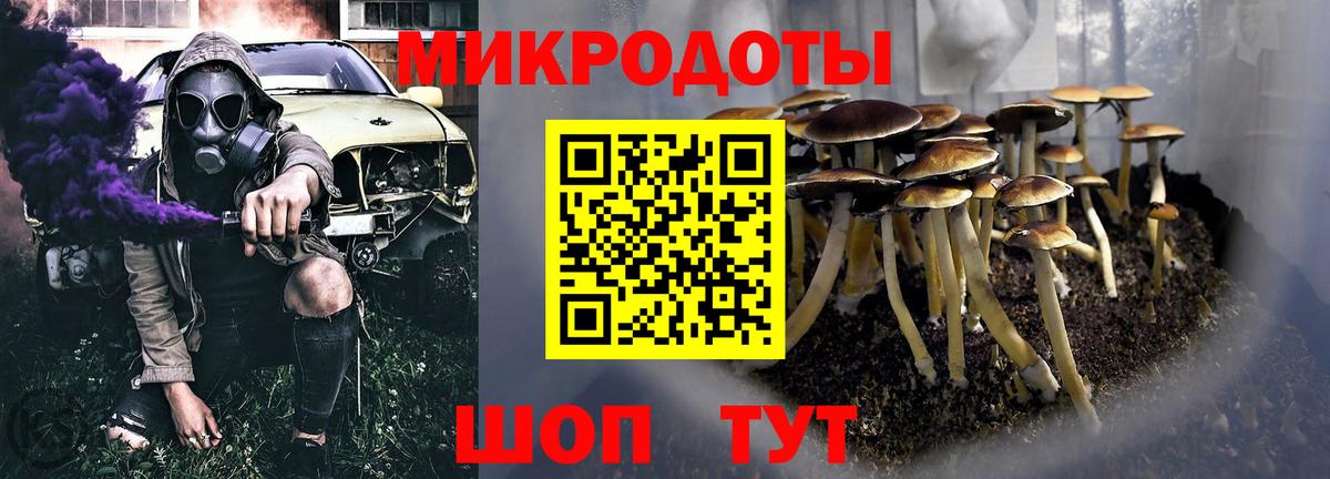 Галлюциногенные грибы прущие грибы  Псилоцибиновые грибы Cubensis  Тверь  Вход с VPN 